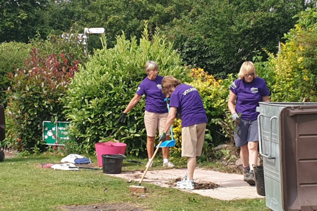 Three ladies in purple tshirts gardening